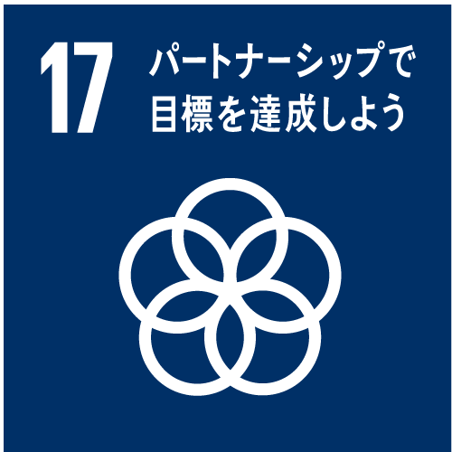 sdgs-17 sdgs-17