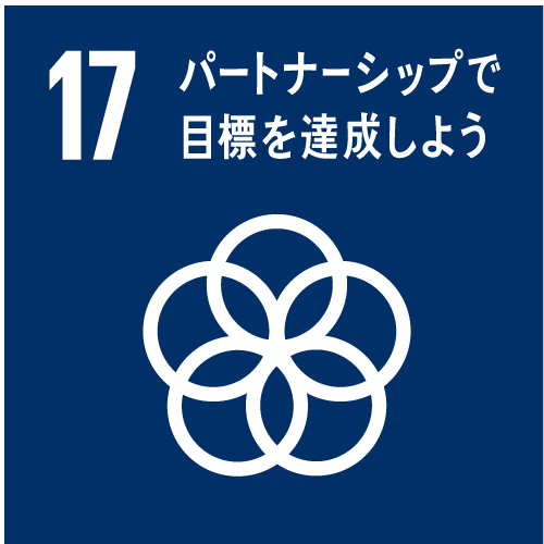 sdgs-17