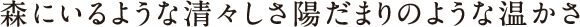 森にいるような清々しさ陽だまりのような温かさ 森にいるような清々しさ陽だまりのような温かさ