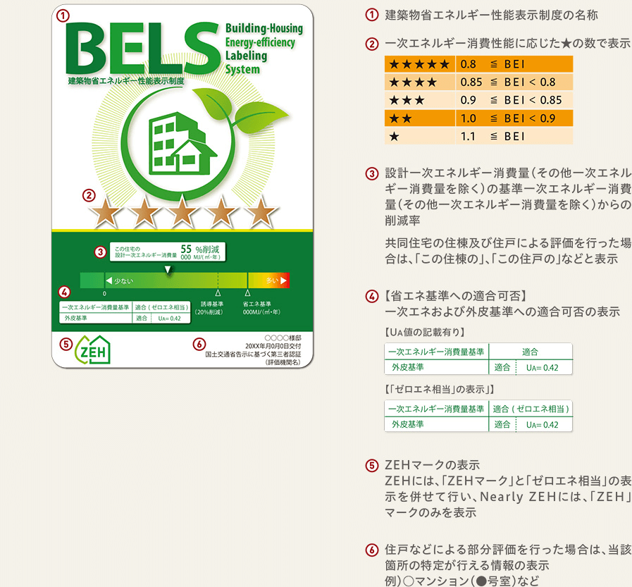 BELSについて