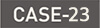 interview-case23 interview-case23