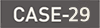 interview-case29
